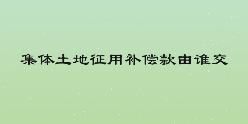 集体土地征用补偿款由谁交