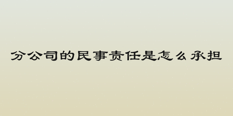分公司的民事责任是怎么承担