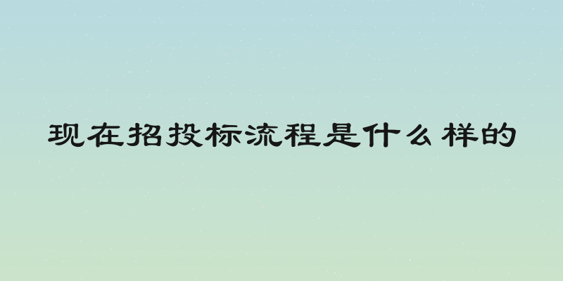 现在招投标流程是什么样的