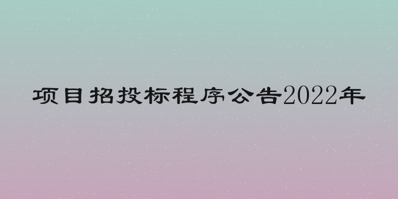 项目招投标程序公告2022年