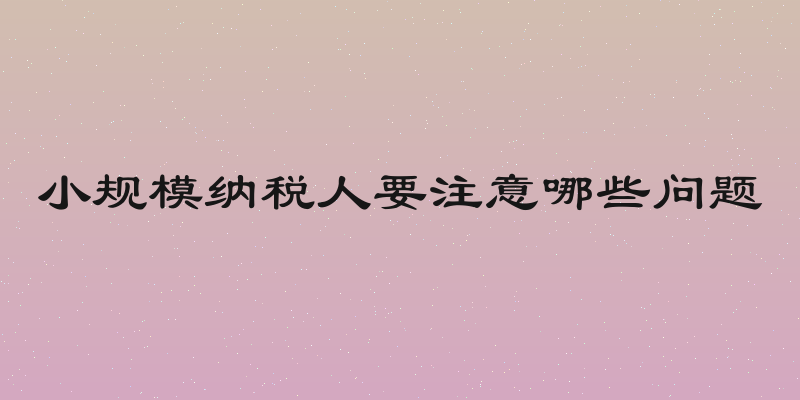 小规模纳税人要注意哪些问题