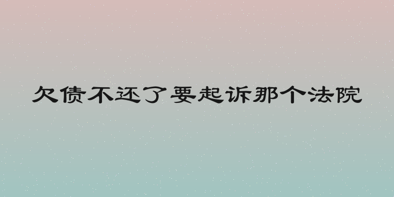 欠债不还了要起诉那个法院
