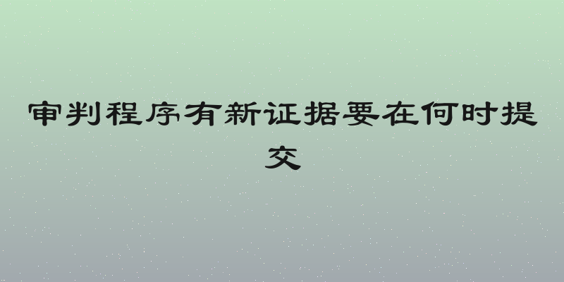 审判程序有新证据要在何时提交