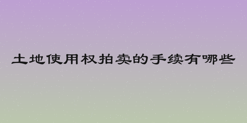 土地使用权拍卖的手续有哪些