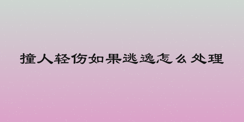 撞人轻伤如果逃逸怎么处理