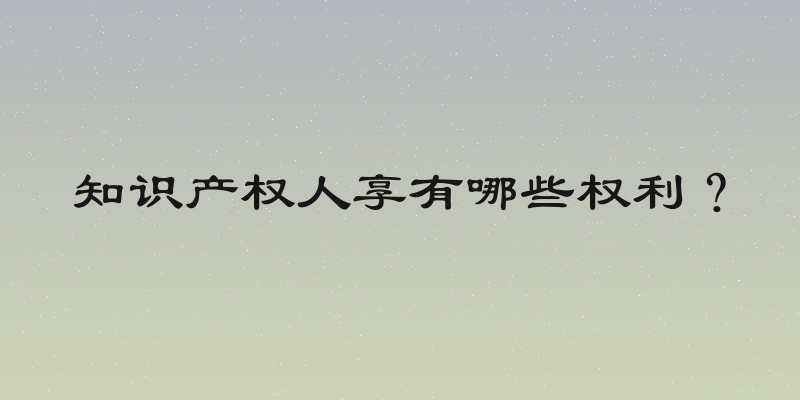 知识产权人享有哪些权利？