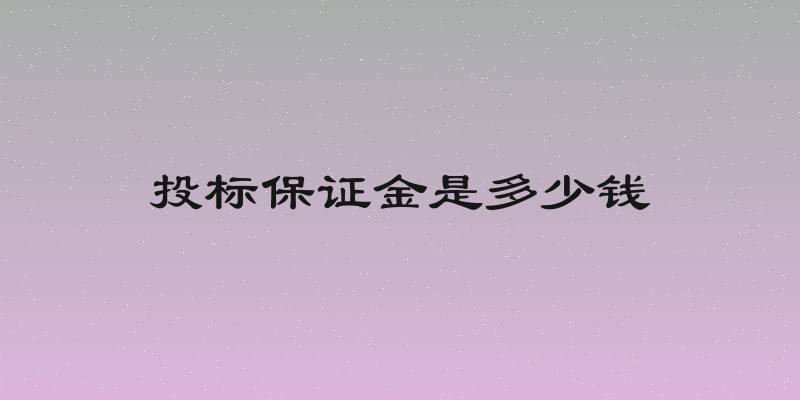 投标保证金是多少钱