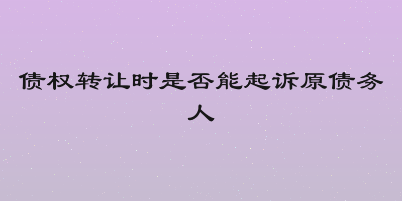 债权转让时是否能起诉原债务人
