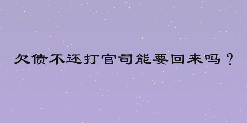欠债不还打官司能要回来吗？