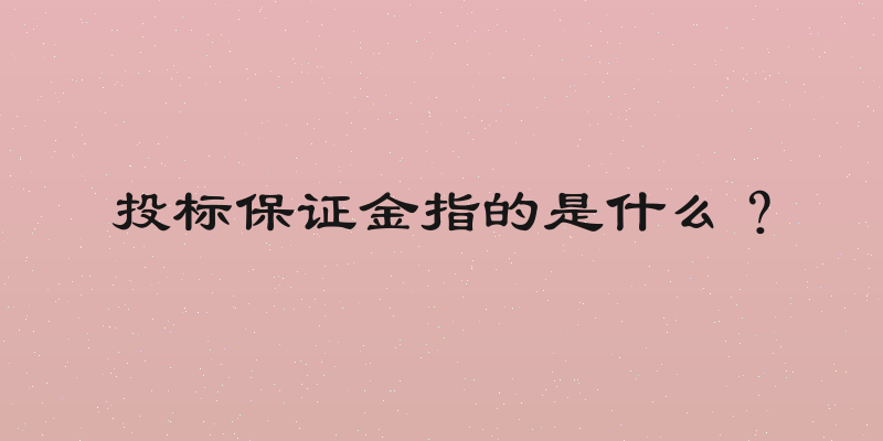 投标保证金指的是什么？