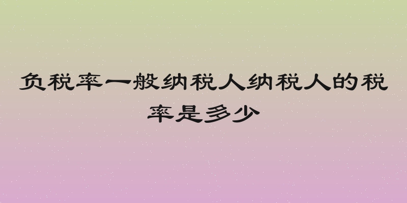 负税率一般纳税人纳税人的税率是多少