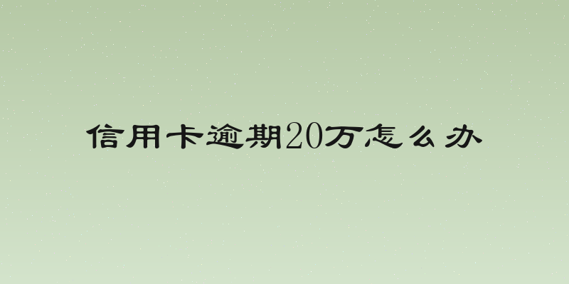 信用卡逾期20万怎么办