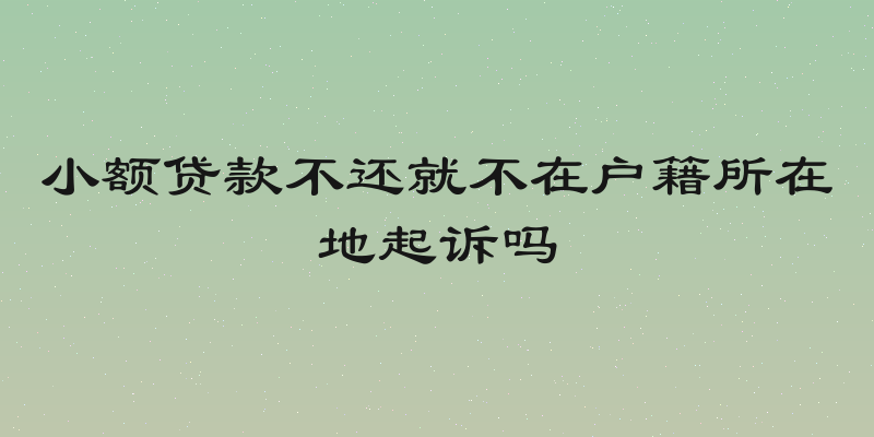 小额贷款不还就不在户籍所在地起诉吗