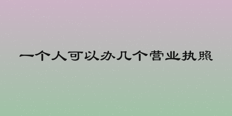 一个人可以办几个营业执照