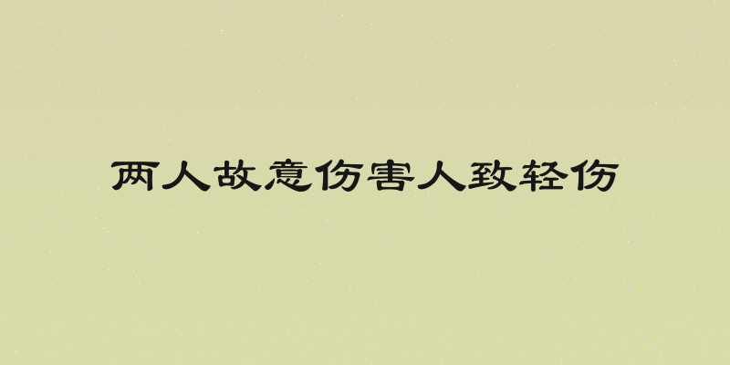 两人故意伤害人致轻伤