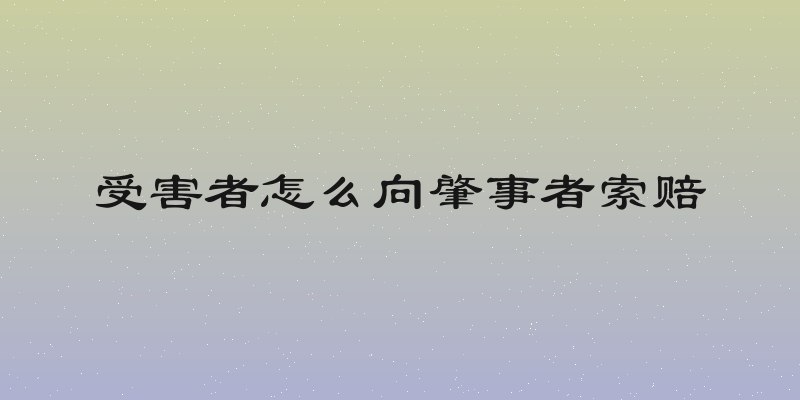 受害者怎么向肇事者索赔