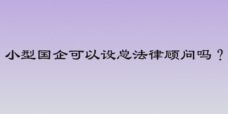 小型国企可以设总法律顾问吗？