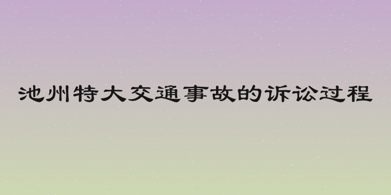 池州特大交通事故的诉讼过程