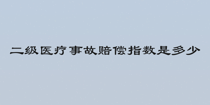 二级医疗事故赔偿指数是多少