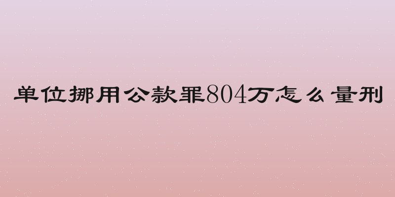 单位挪用公款罪804万怎么量刑