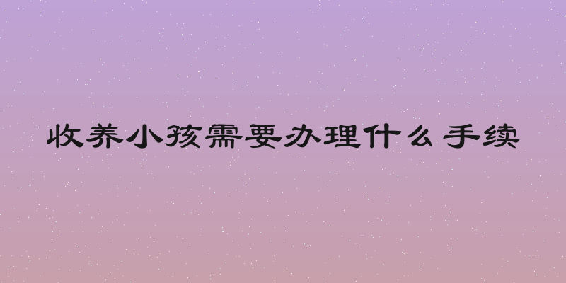 收养小孩需要办理什么手续