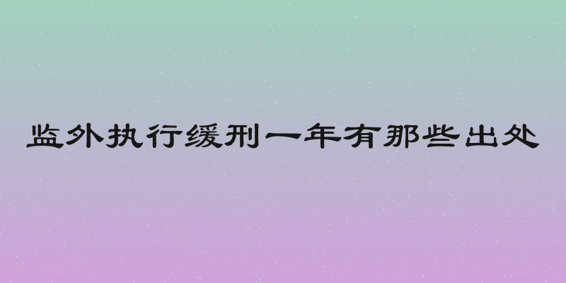 监外执行缓刑一年有那些出处