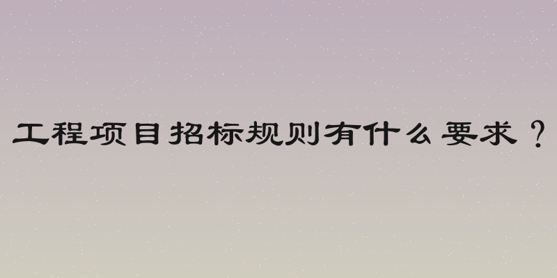 工程项目招标规则有什么要求？