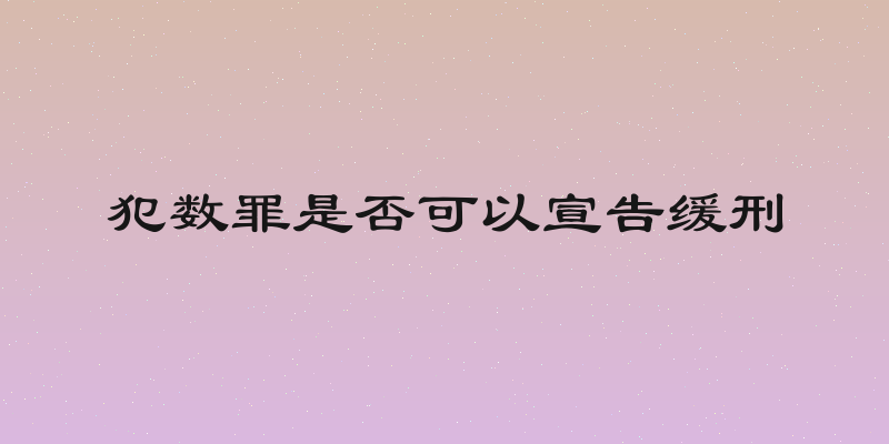 犯数罪是否可以宣告缓刑