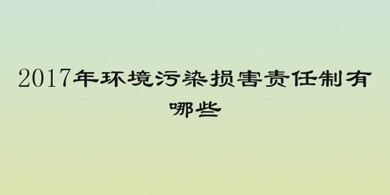 2017年环境污染损害责任制有哪些