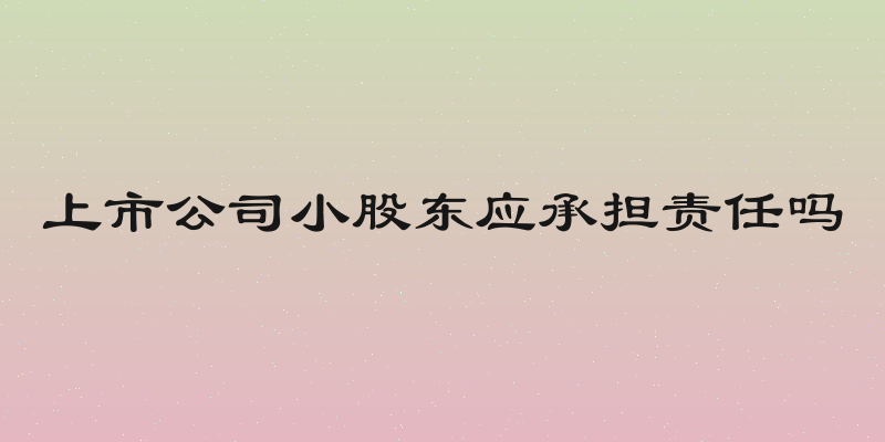 上市公司小股东应承担责任吗