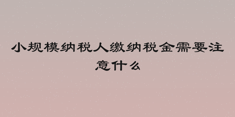 小规模纳税人缴纳税金需要注意什么