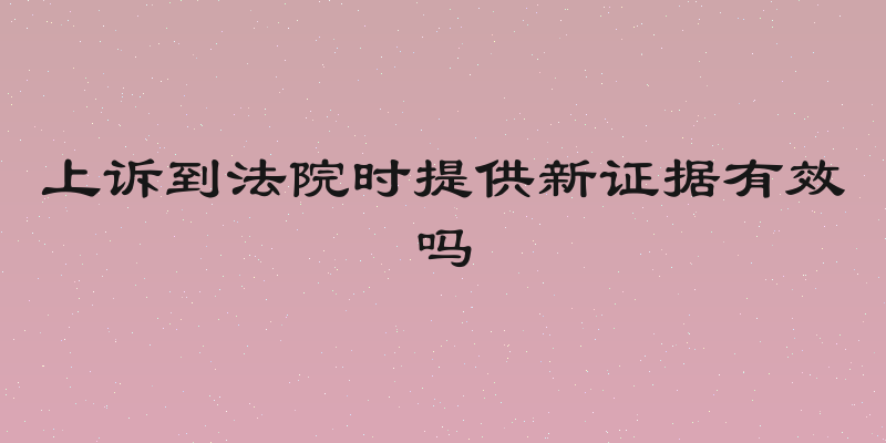 上诉到法院时提供新证据有效吗