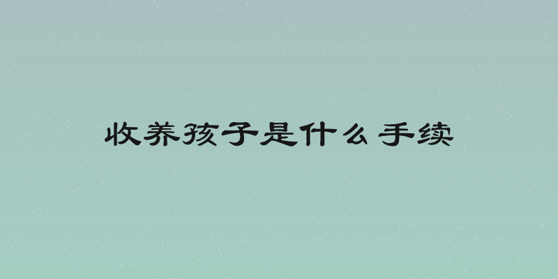收养孩子是什么手续