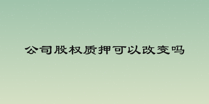 公司股权质押可以改变吗