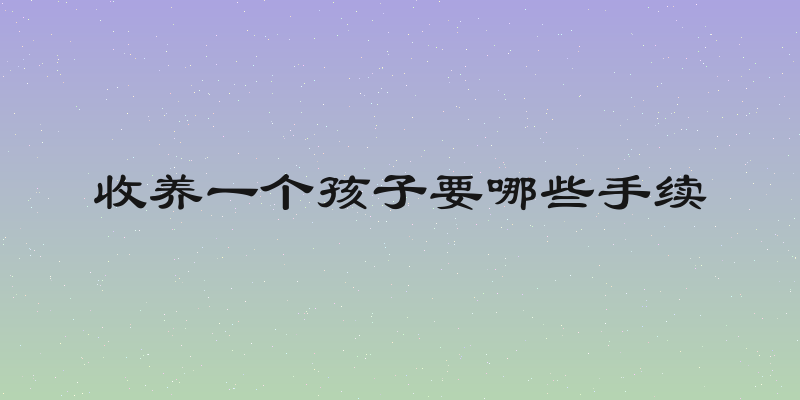 收养一个孩子要哪些手续
