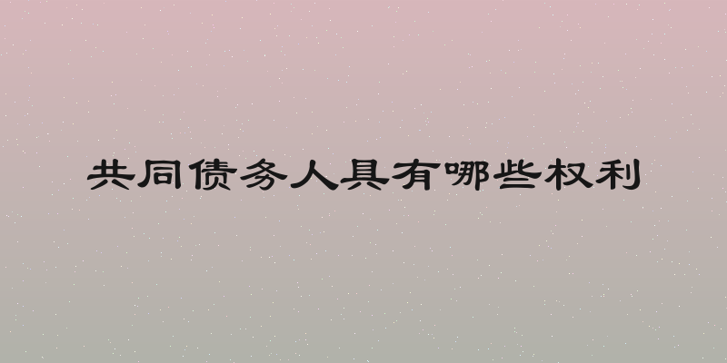 共同债务人具有哪些权利