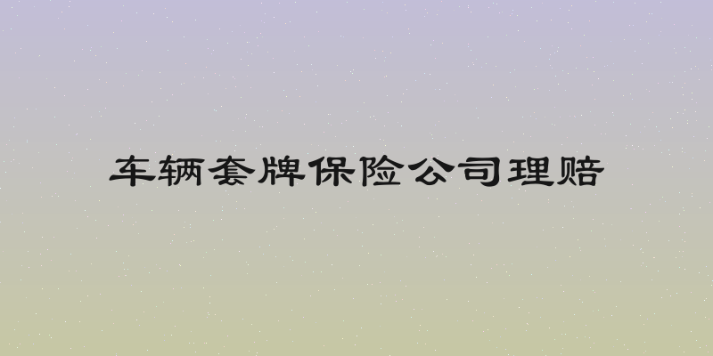 车辆套牌保险公司理赔