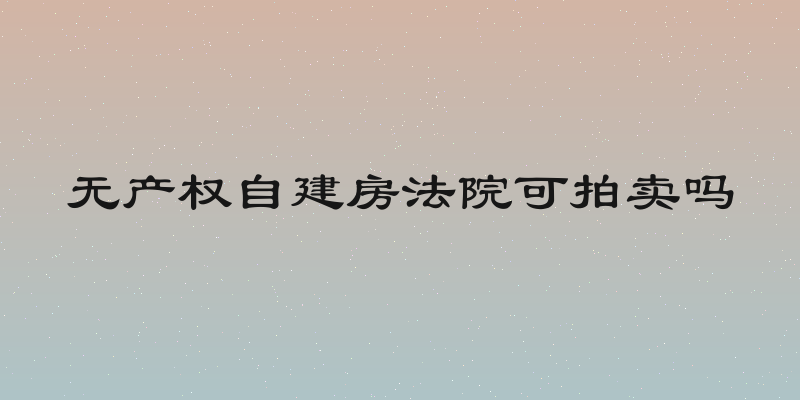 无产权自建房法院可拍卖吗