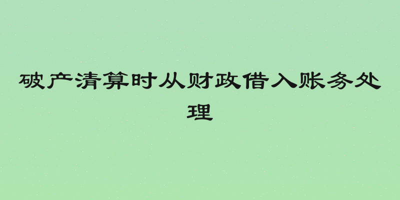 破产清算时从财政借入账务处理