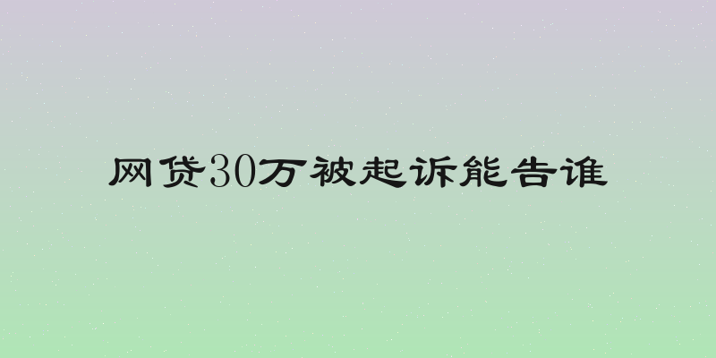 网贷30万被起诉能告谁
