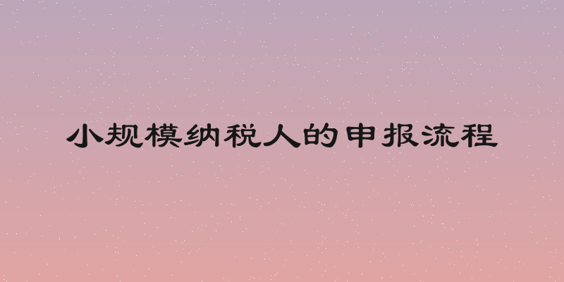 小规模纳税人的申报流程