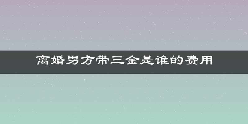 离婚男方带三金是谁的费用