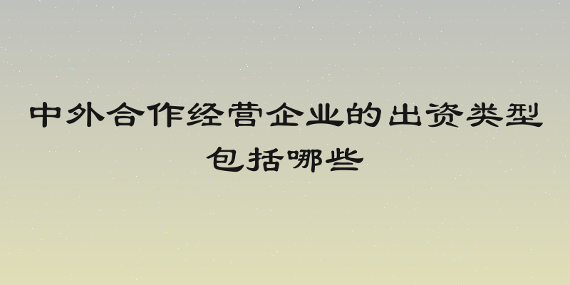 中外合作经营企业的出资类型包括哪些
