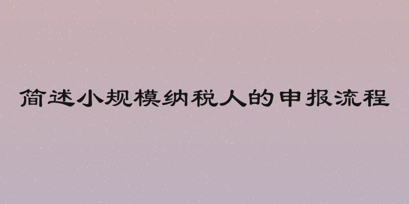 简述小规模纳税人的申报流程