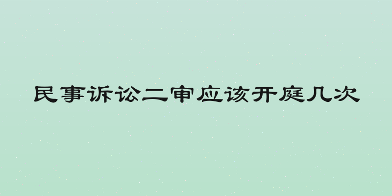 民事诉讼二审应该开庭几次