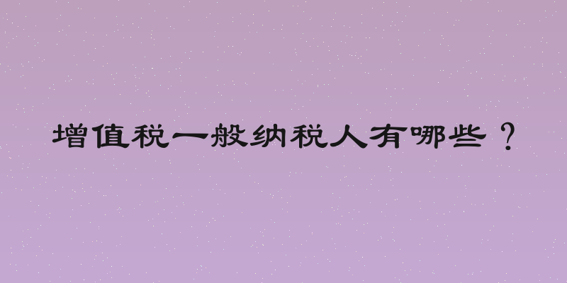 增值税一般纳税人有哪些？