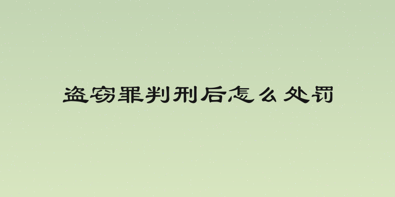 盗窃罪判刑后怎么处罚