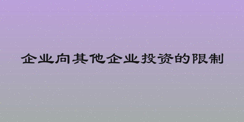 企业向其他企业投资的限制