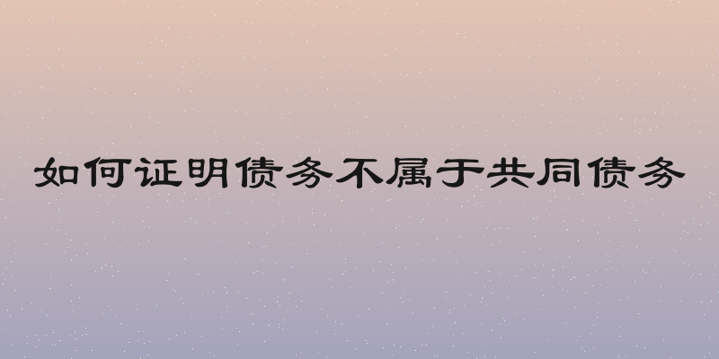 如何证明债务不属于共同债务