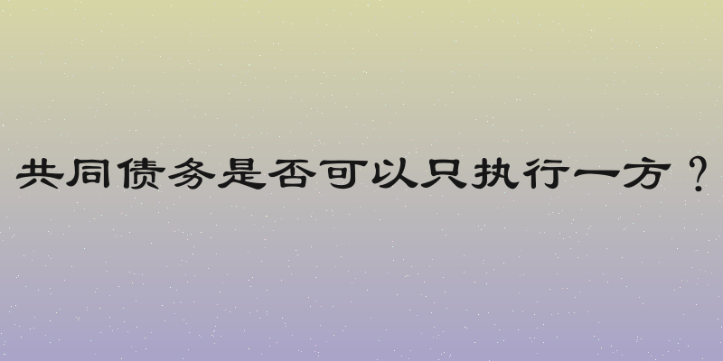 共同债务是否可以只执行一方？